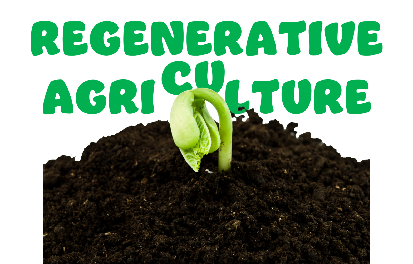 cpg-companies-support-regenerative-agriculture-enterra-solutions